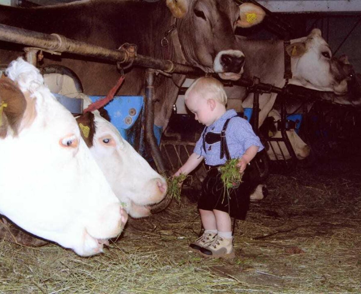 In barn