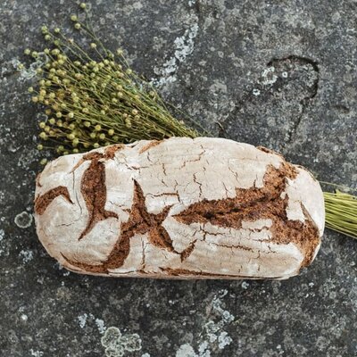 Frisch gebackenes Brot liegt mit Gemeinem Lein auf einer Granitplatte | © Urlaub am Bauernhof Oberösterreich / Biohof Schafflhof