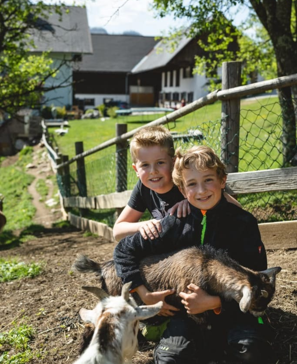 Our dwarf goats love to cuddle