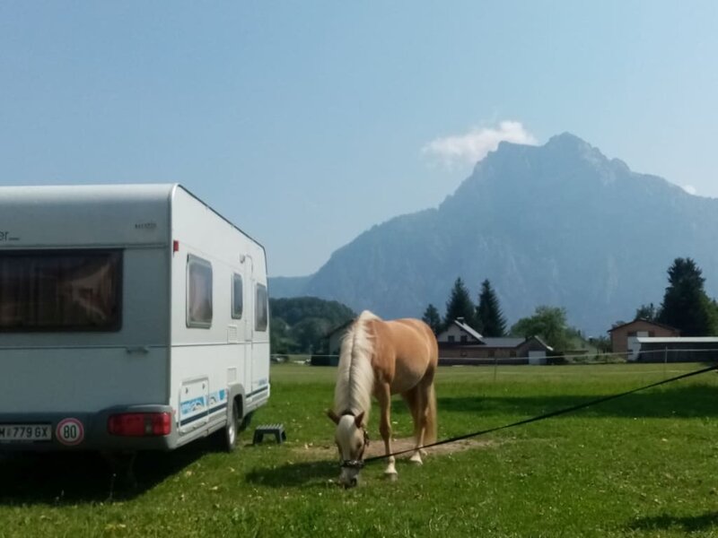 Campsite on the horse farm