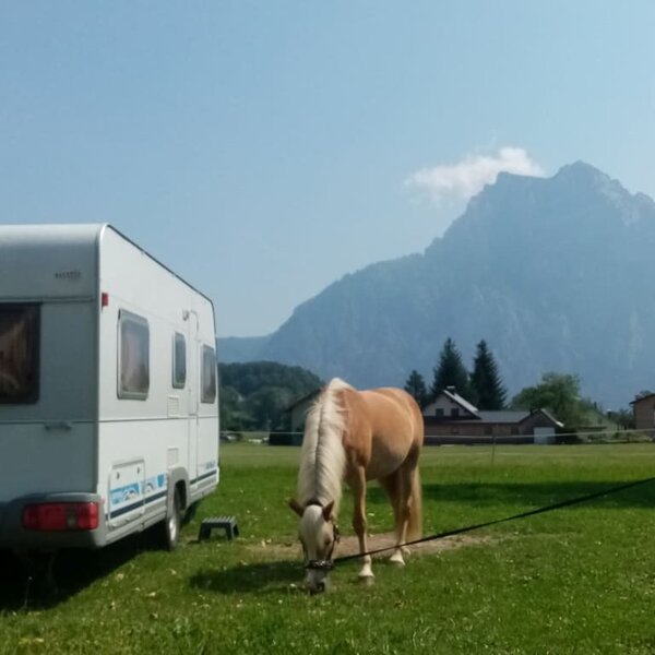 Campsite on the horse farm