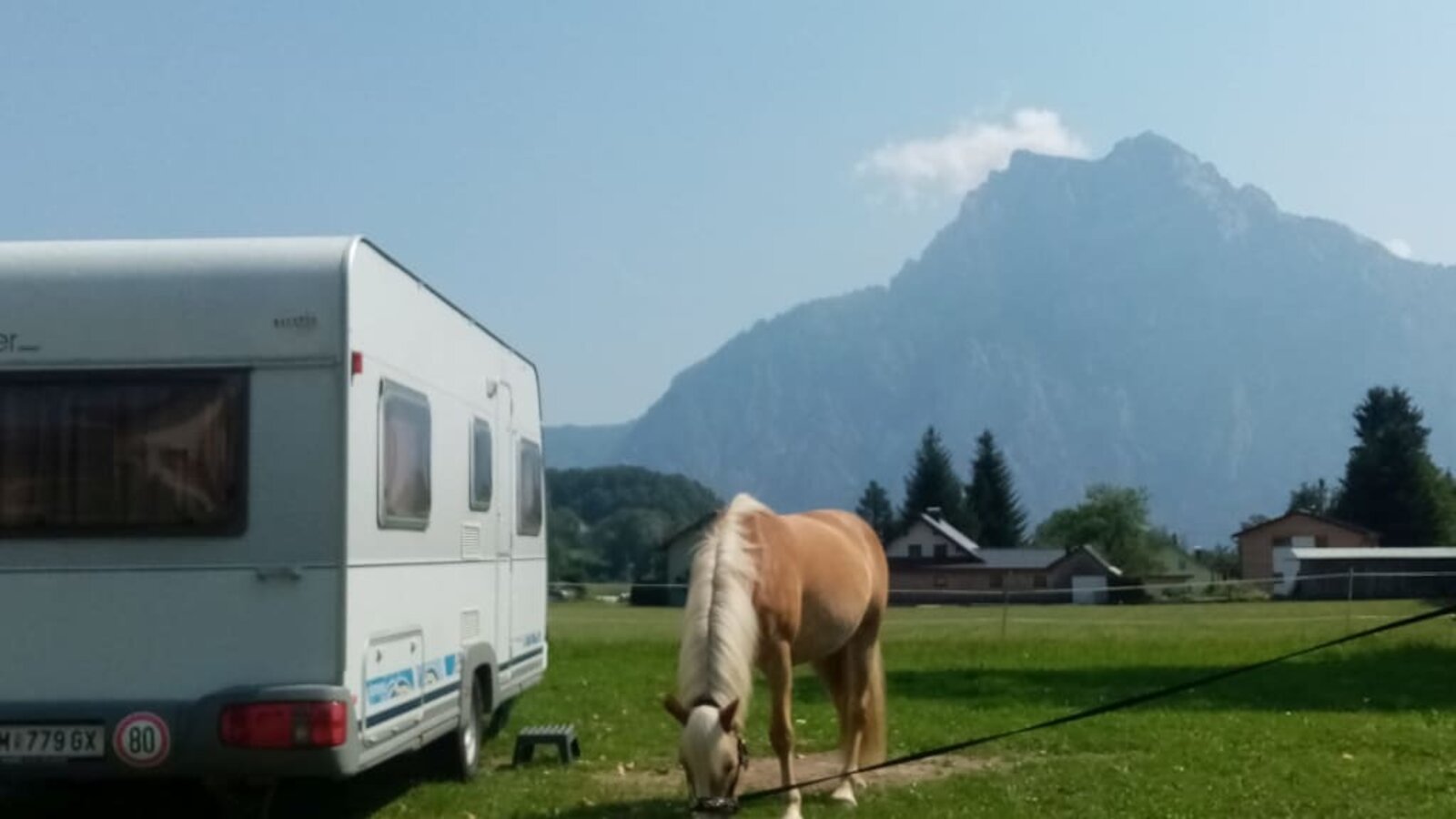 Campsite on the horse farm