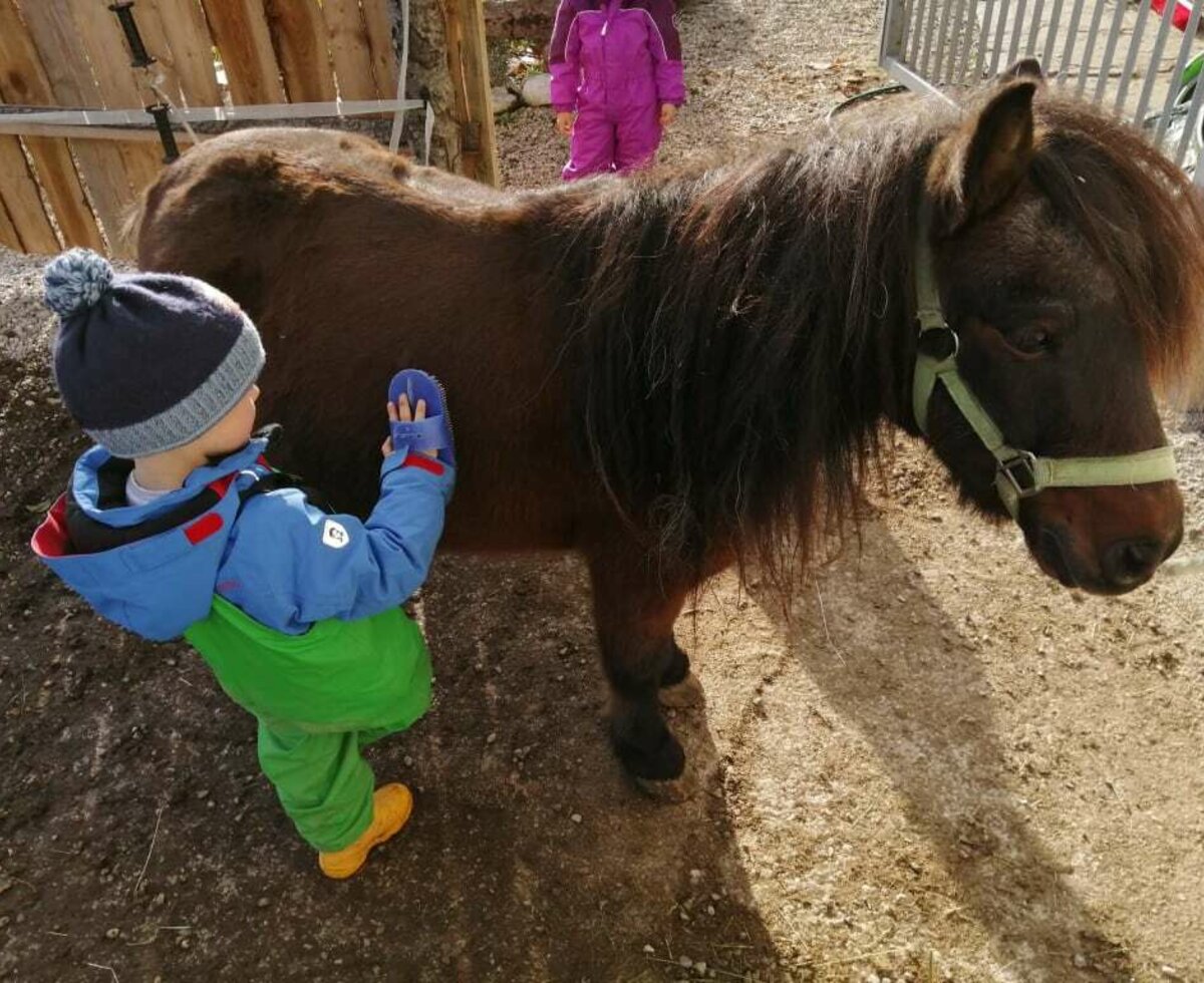 Kids grooming the pony