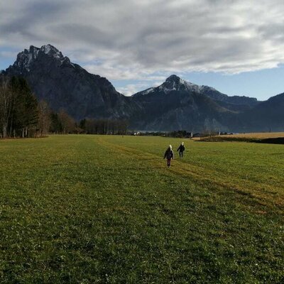 Mountains and meadows