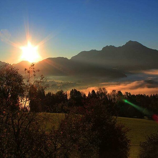 sunrise on farm