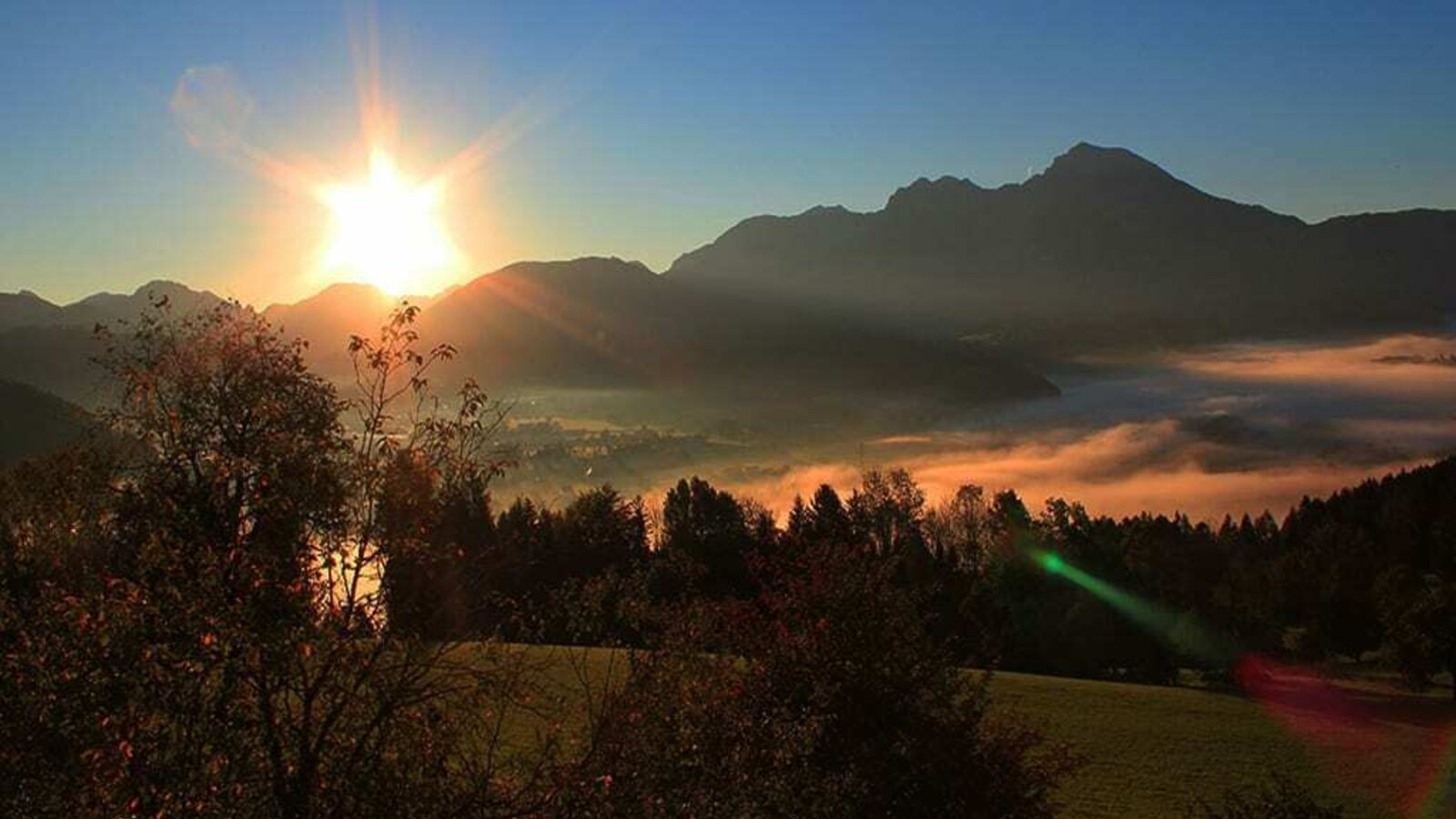 sunrise on farm