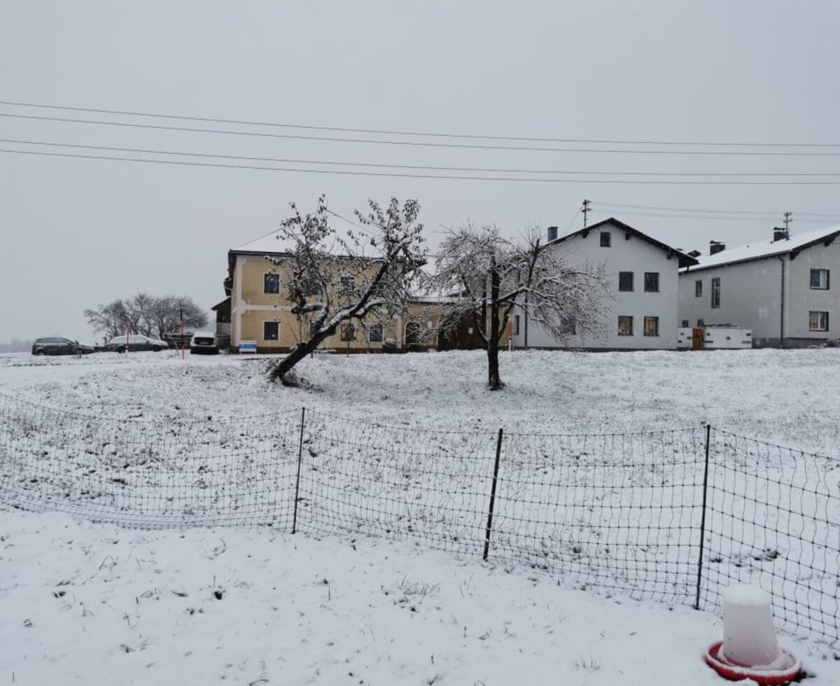 The farm and the first snow of the season.