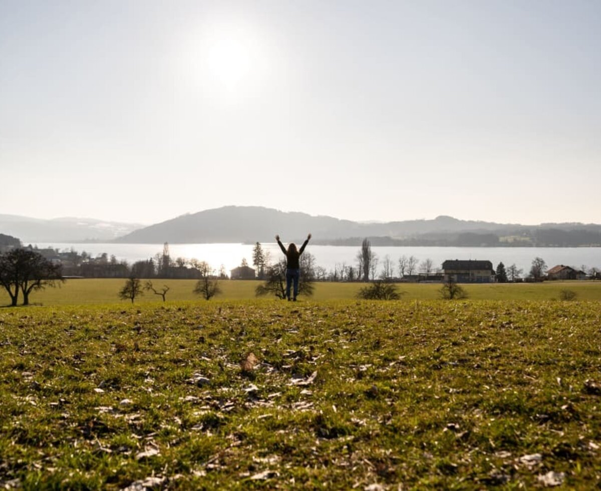 View of Lake Attersee