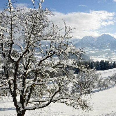 snow in december