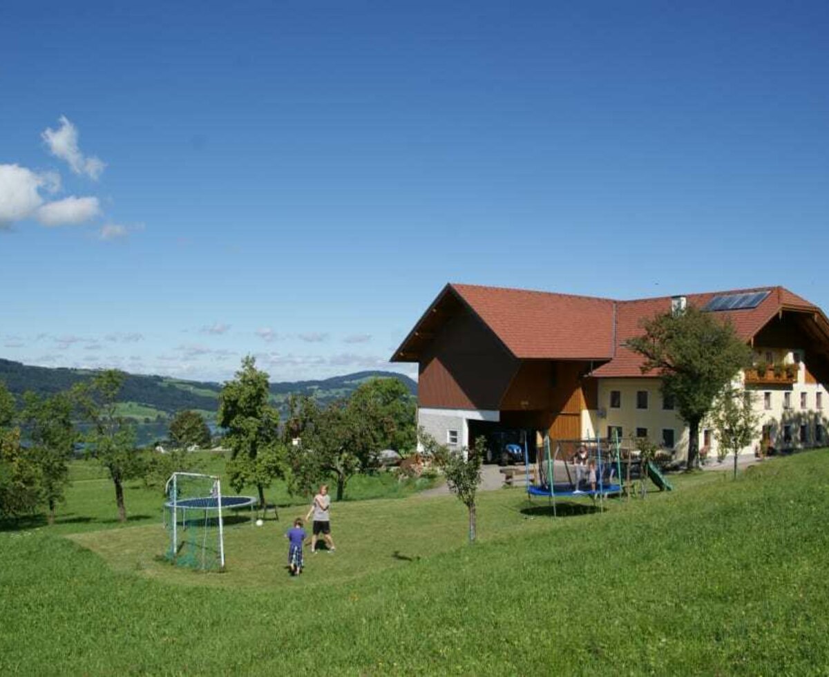 Playground and house