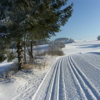 Cross-country skiing trails