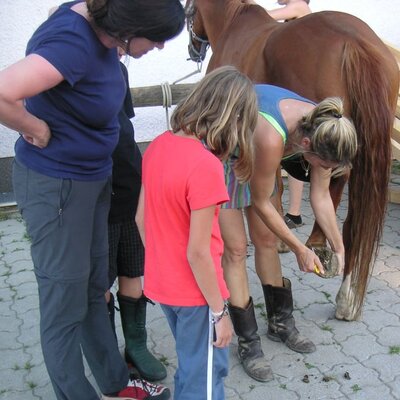 Learning to scrape hooves