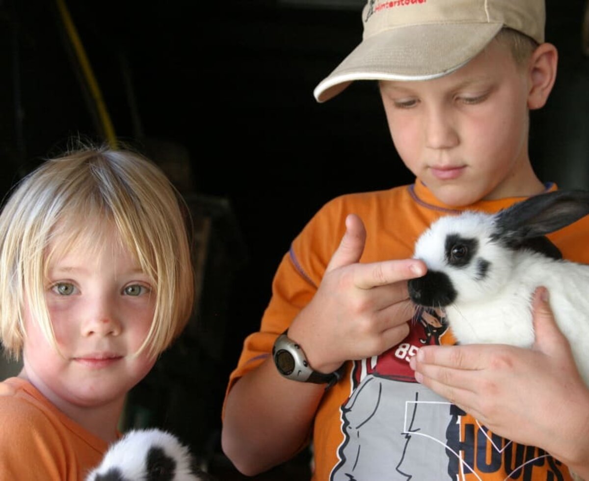 Rabbits at Grossgrub family farm