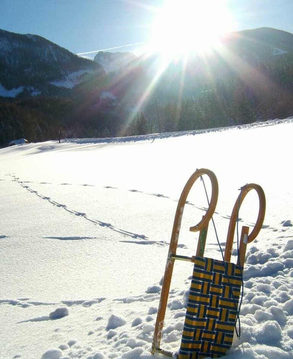 Tobogganing at Grossgrub farm