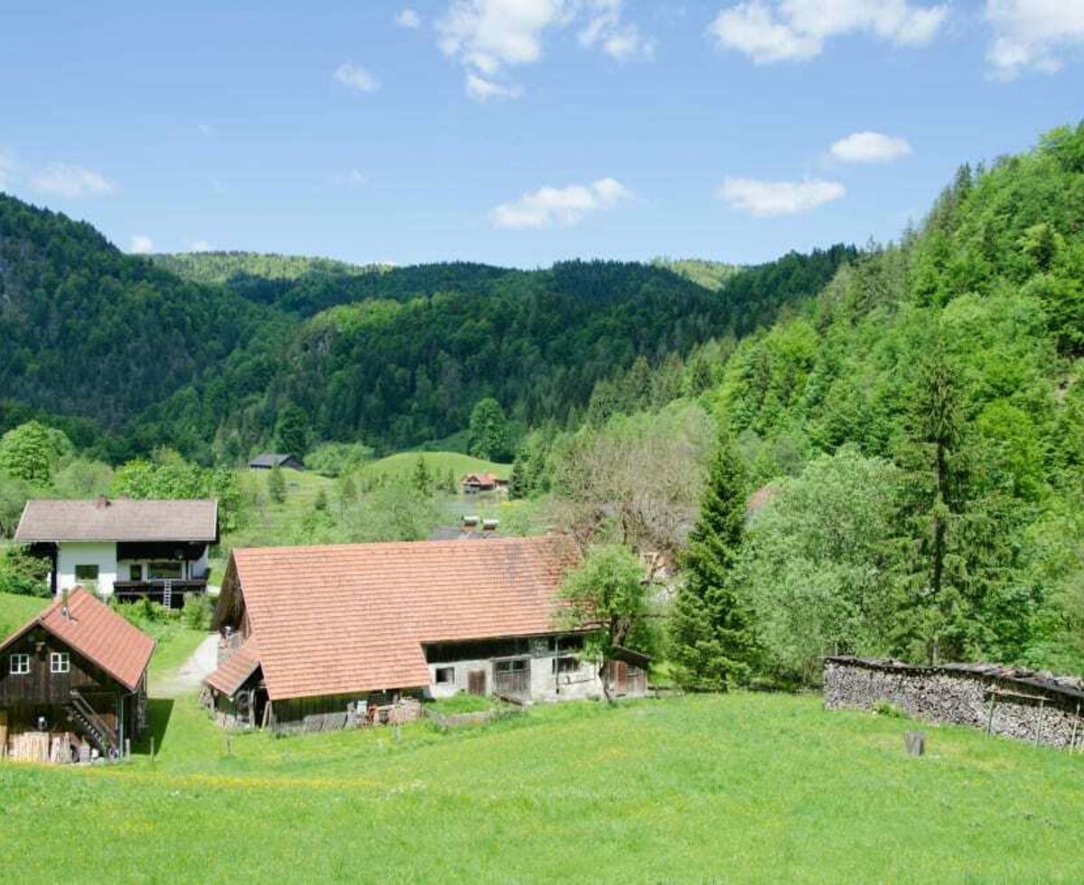 view at the house from the wooden flat