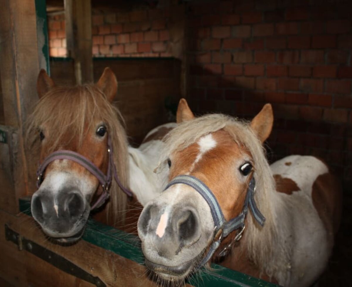 let's have a little ride! :)