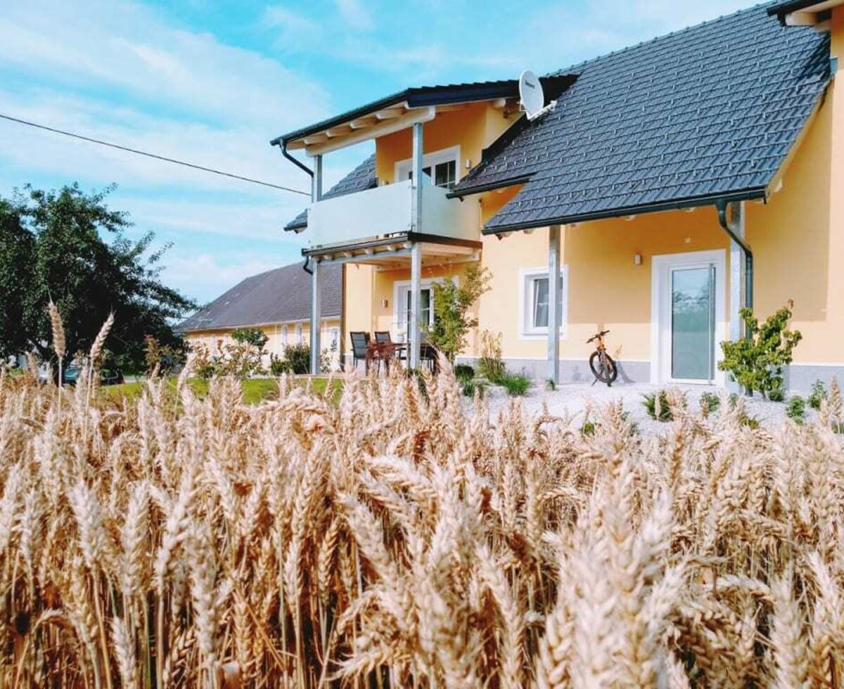 Presshaus with cornfield2