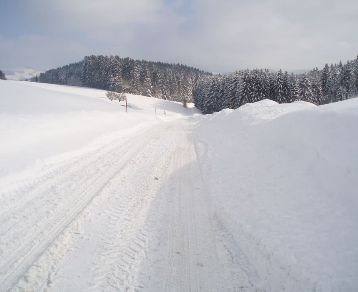 Arrival in winter