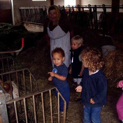 Helping out in the stable.