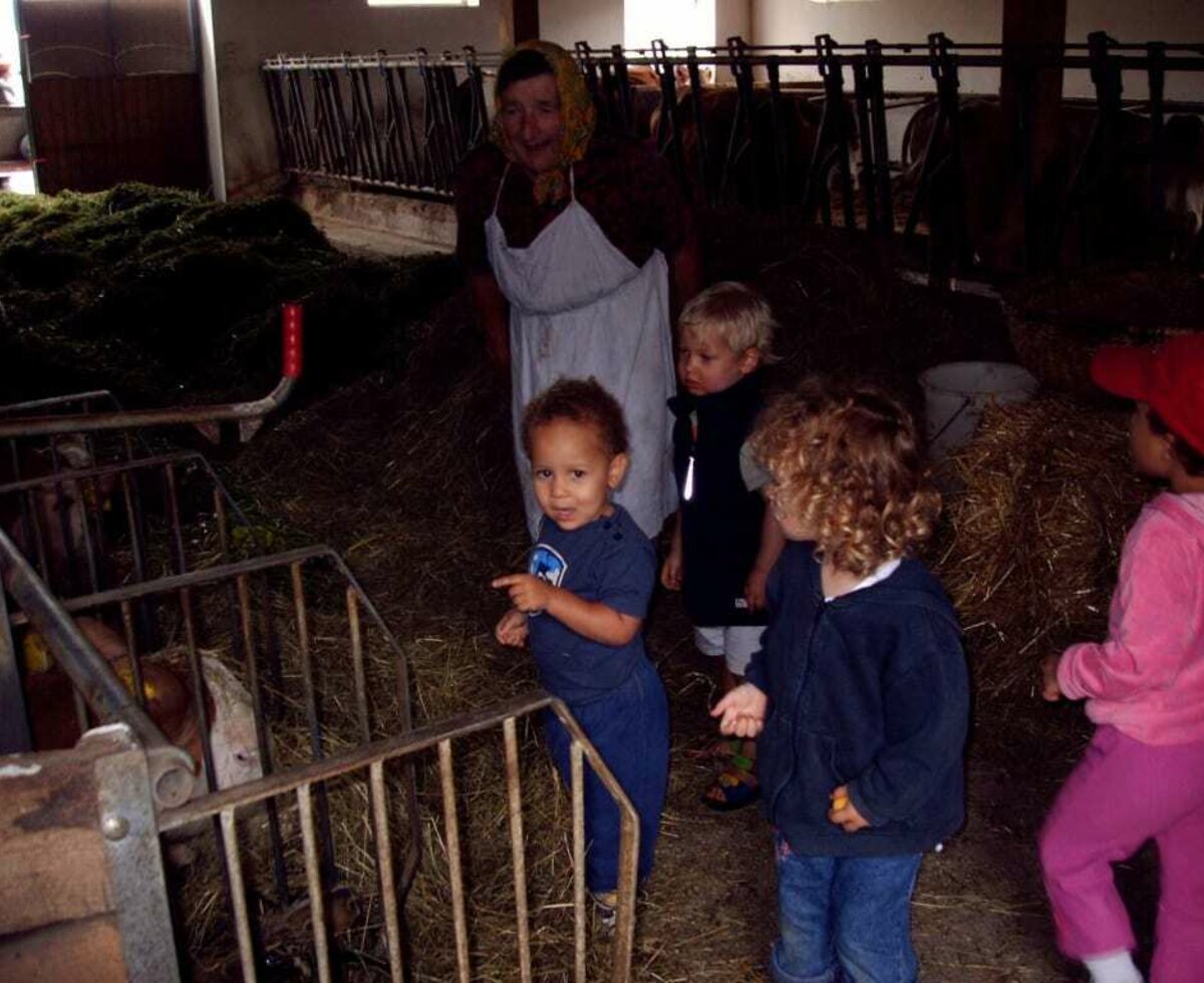 Helping out in the stable.