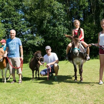 Pony Cindy, Minishetty Moritz and Donkey Sissi