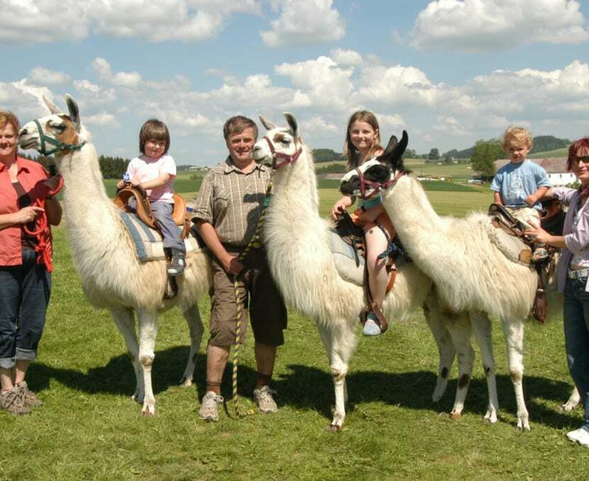 Lama trekking