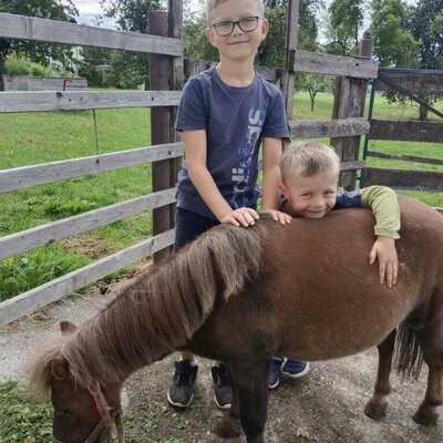 Harri our sweet Mini-Shetland Pony