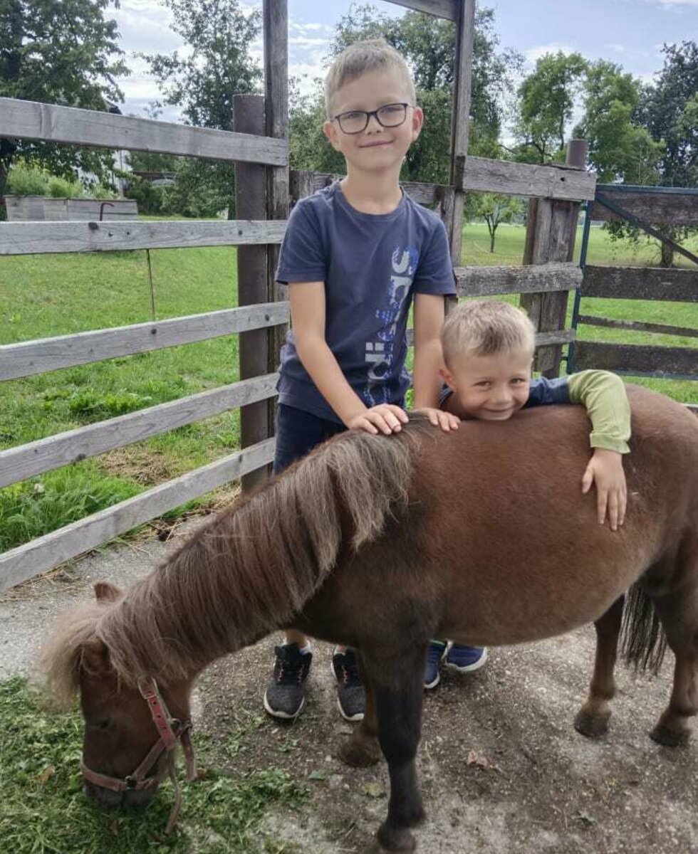 Harri our sweet Mini-Shetland Pony