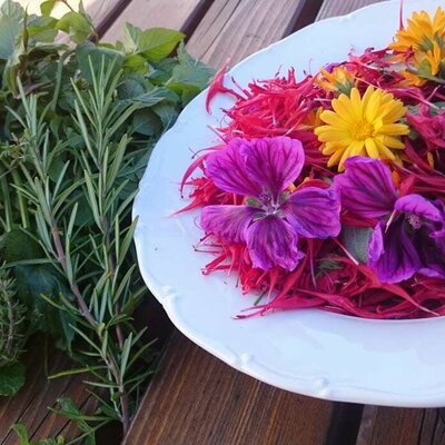 herbes from the garden