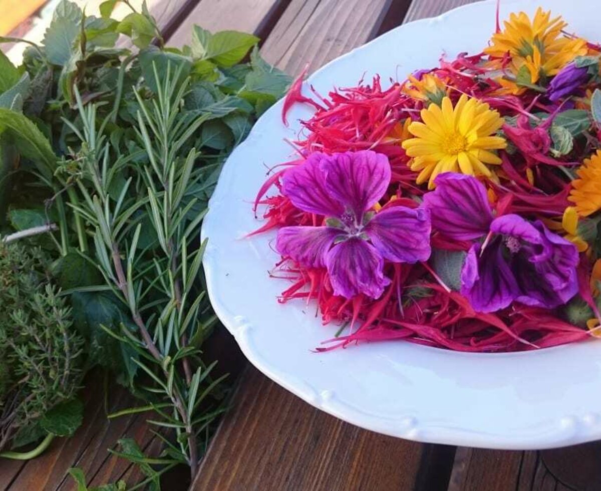 herbes from the garden