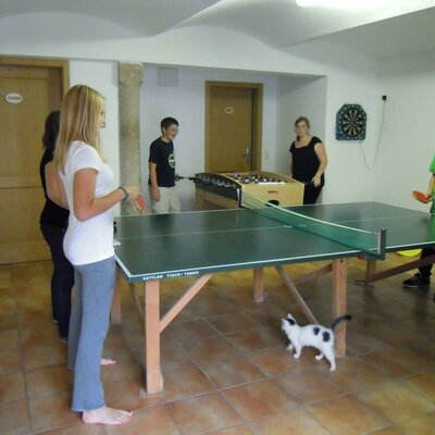 Table tennis