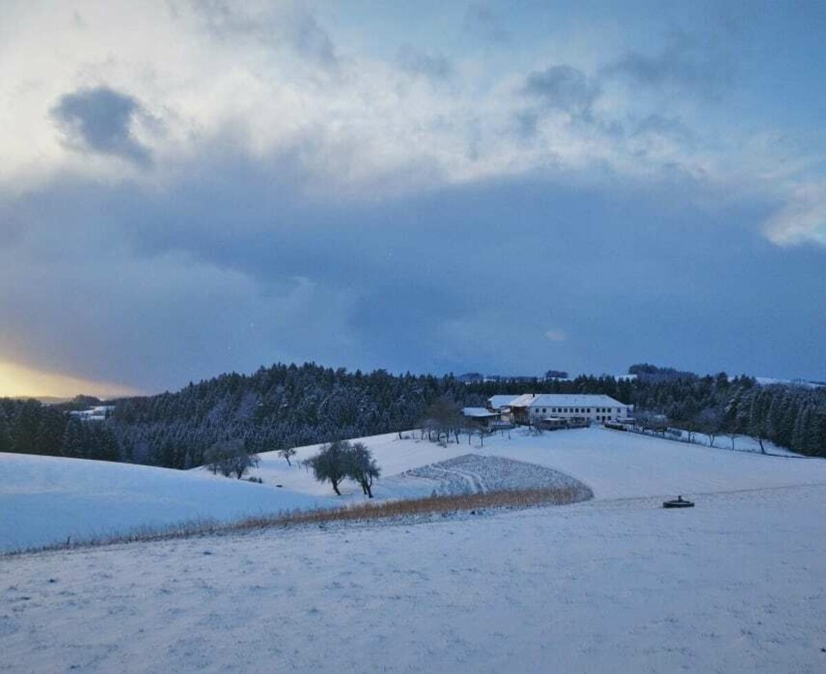 Winter panorama