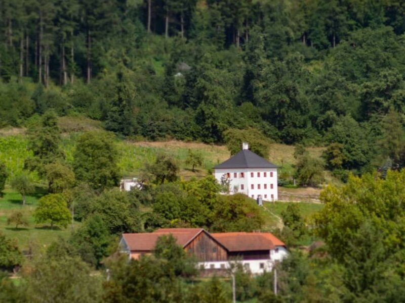 Trattnachtaler Weinhaus