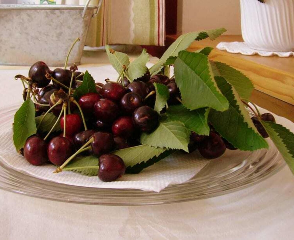 cherry`s from our trees