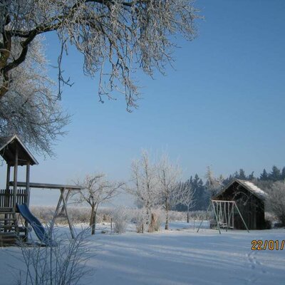 garden in winter