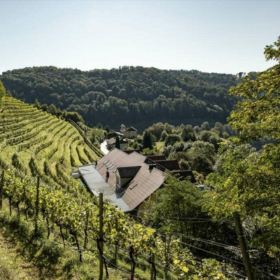 Weingarten Haselgraben in Kirchschlag, Mühlviertel/Zentralraum | © Urlaub am Bauernhof Oberösterreich / tobireiter