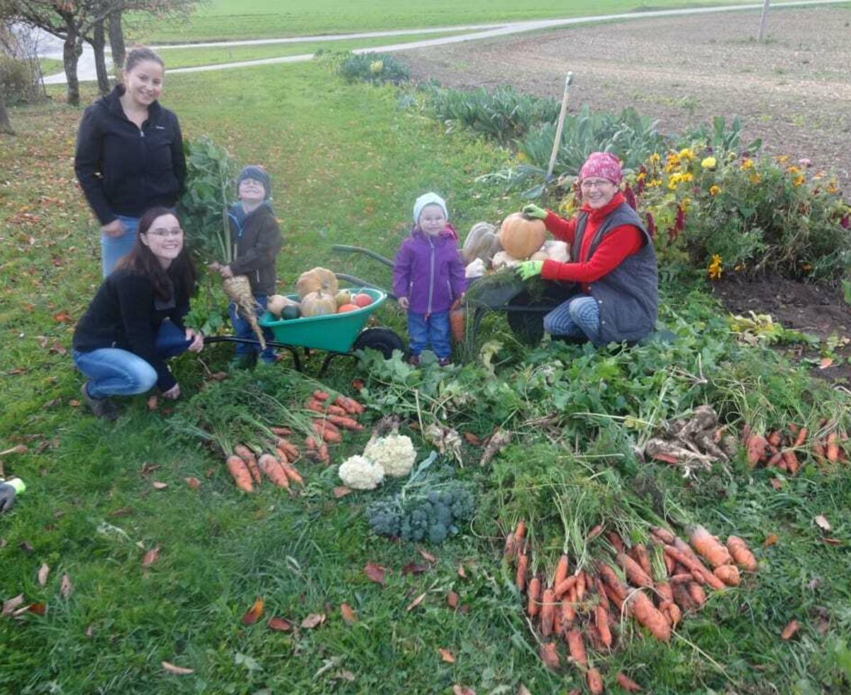 Great harvest in the autumn