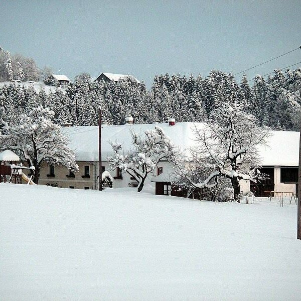 The farm nice and snowy!