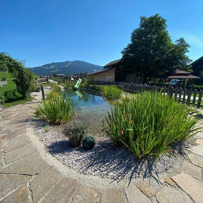 Pool at the AIGNERHOF