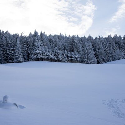 Winter at Angerlgut