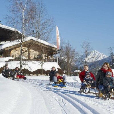 Let's go sledging!