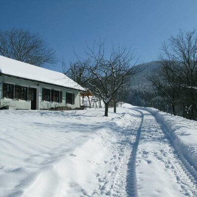 Winter landscape