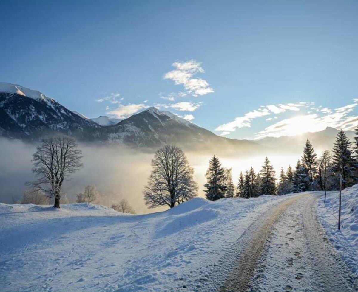 Biohof Maurachgut - Winter holidays in the alpine region