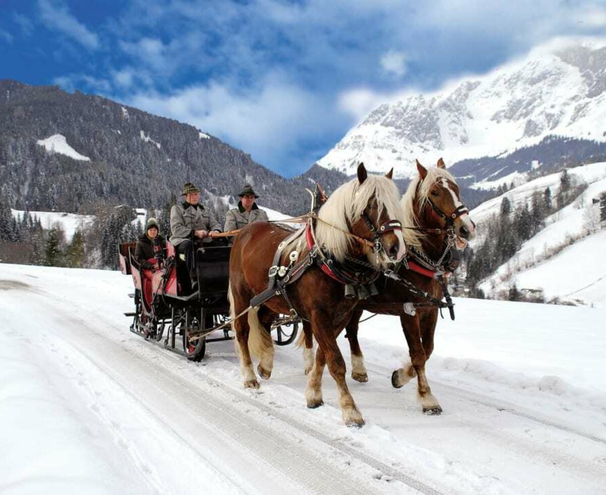 Horse-drawn carriage ride through the snowy winter landscape