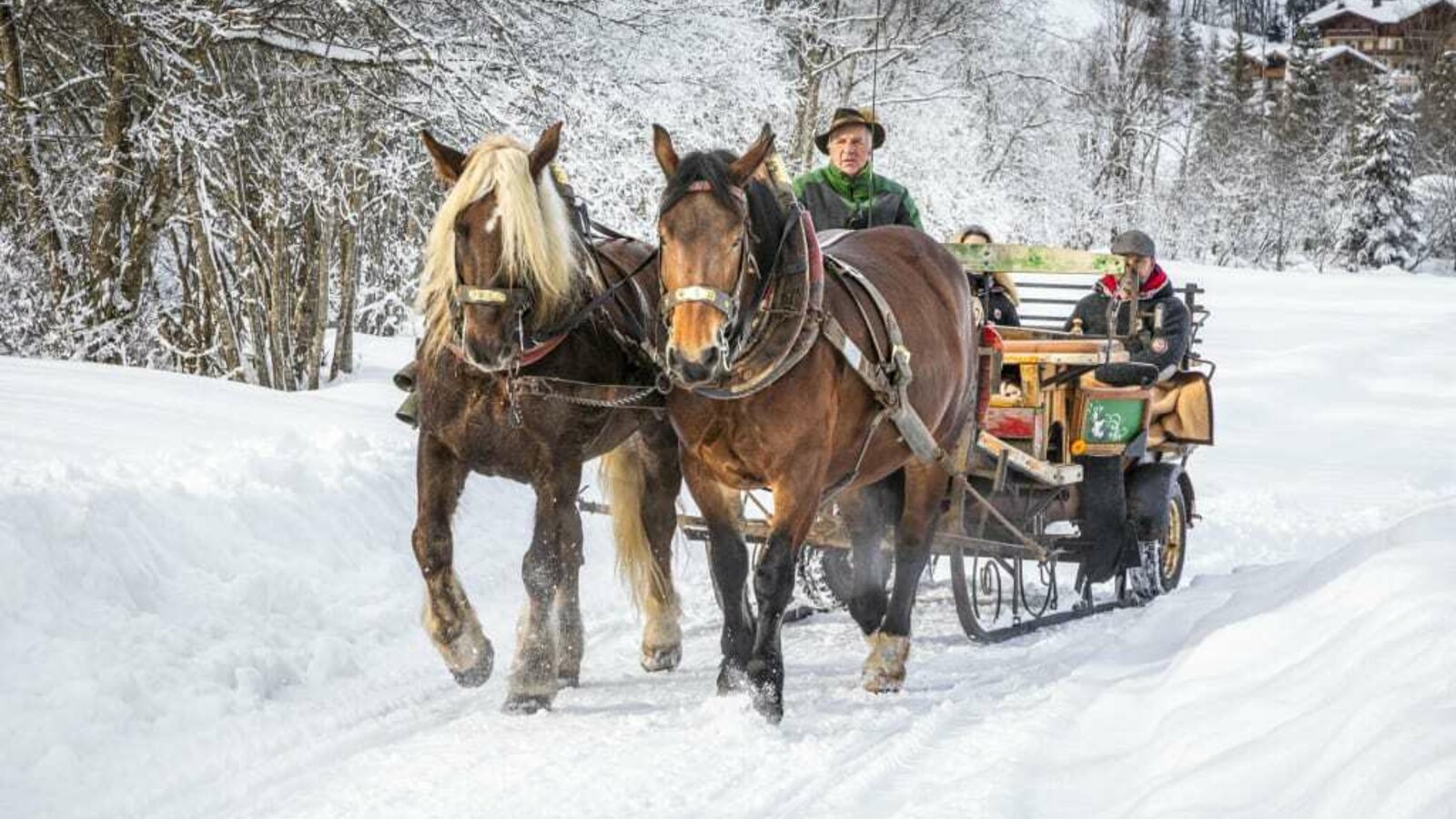 horse sleigh ride Griesbauer