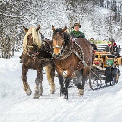 horse sleigh ride Griesbauer