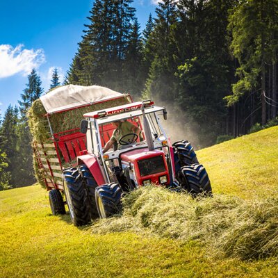 Haymaking