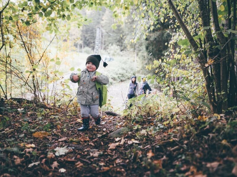 child in the wood