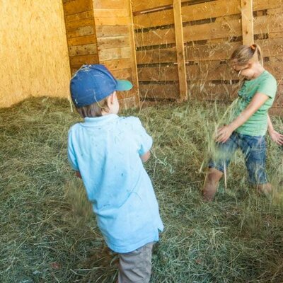 chideren in the hay