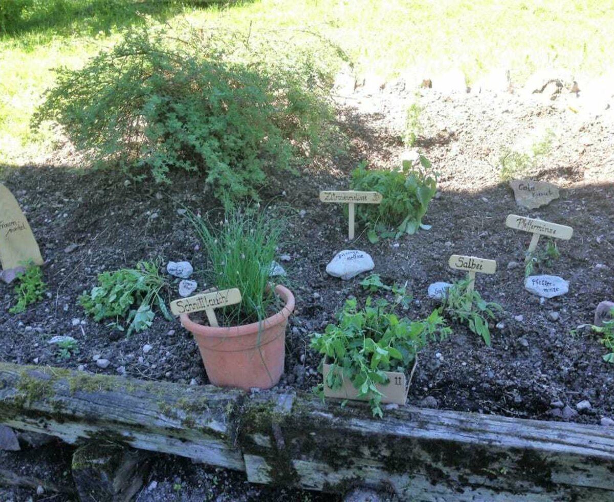 herb garden